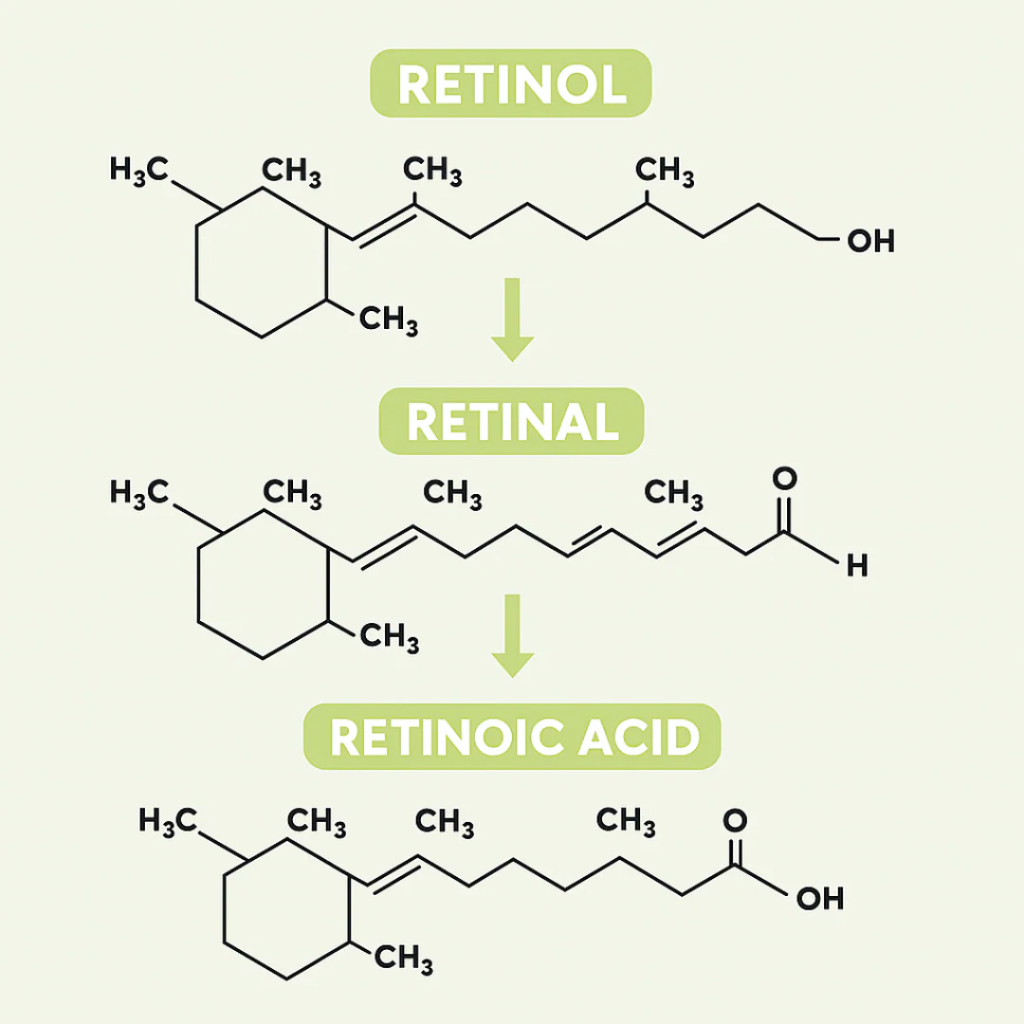 Retinal Shot - Le soin anti-âge