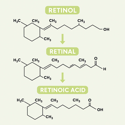 Retinal Shot - Le soin anti-âge